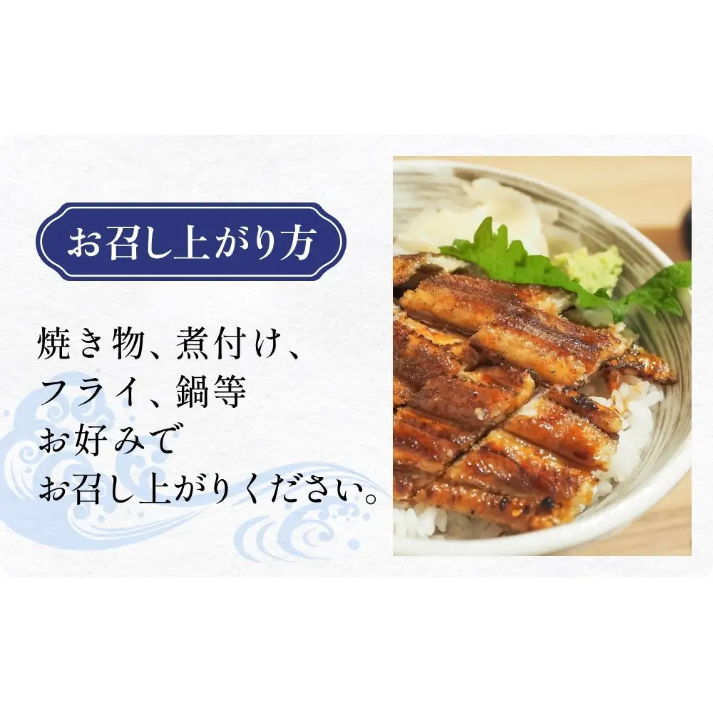 アナゴ 2パック 穴子 あなご 魚介 魚介類 海鮮 下処理済 直送 新鮮 冷凍 焼き物 煮付け フライ