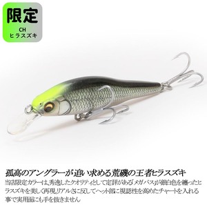 Ｘ-80 JR.SW 限定カラー CH ヒラスズキ 釣り用ルアー_OS226-0035-02