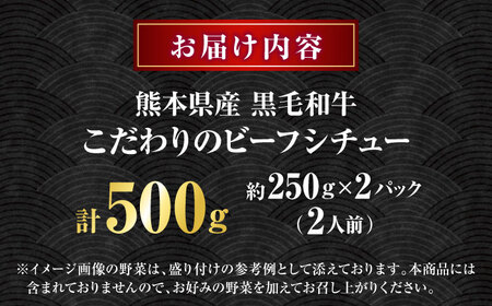 熊本県産 くまもと黒毛和牛 黒毛和牛 こだわりのビーフシチュー 計2パック （約250g×2パック） ビーフシチュー ビーフ シチュー 牛肉 肉 　【有限会社スイートサプライなかぞの】[ZBV107]