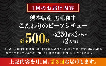 【全3回定期便】 熊本県産 くまもと黒毛和牛 黒毛和牛 こだわりのビーフシチュー 計2パック （約250g×2パック） ビーフシチュー ビーフ シチュー 牛肉 肉 　【有限会社スイートサプライなかぞの】[ZBV108]