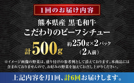 【全6回定期便】 熊本県産 くまもと黒毛和牛 黒毛和牛 こだわりのビーフシチュー 計2パック （約250g×2パック） ビーフシチュー ビーフ シチュー 牛肉 肉 　【有限会社スイートサプライなかぞの】[ZBV109]
