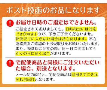 リース作り体験チケット(グリーンリーフのリース・1回分) リース作り 体験 チケット ハンドメイド ワークショップ クラフト教室 グリーンリース フラワーリース クリスマスリース 手作り体験 インテリア 初心者歓迎 親子体験 新登場 【m56-02-A】【Porte-Bonheur】
