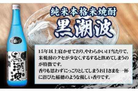 焼酎 焼酎黒潮波 完熟南高梅うめのわ 完熟梅酒 720ml 2本セット 