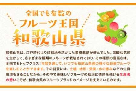 【先行予約】八朔 約10kg（3L～L）