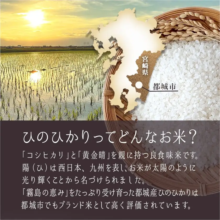 都城産ひのひかり5kg(5kg×1袋)〔AO-A701〕_ お米