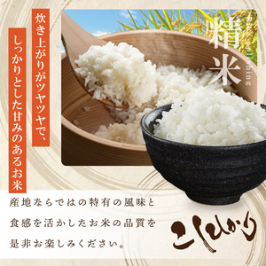 R7年産 コシヒカリ 白米10kg|お米 米 こしひかり コシヒカリ 白米 茨城県 取手市（BQ001）