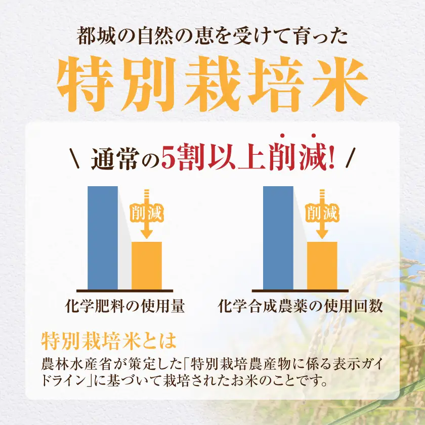 都城産ひのひかり特別栽培米「ぼんちそだち」10kg(5kg×2袋)〔21-N5-001-10kg〕_(都城市) 都城産 お米 10kg 5kg×2 ひのひかり ぼんちそだち