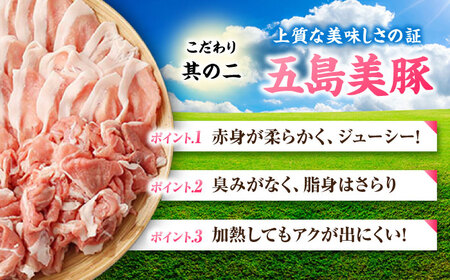 【3回定期便】五島美豚 焼肉2kg (ロース1kg/バラ1kg) 五島市/ごとう農業協同組合[PAF054]
