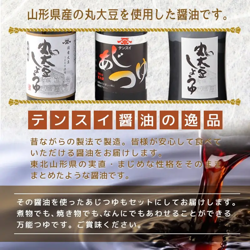 食品添加物不使用 テンスイ しょうゆ セット テンスイ醤油 山形 天童