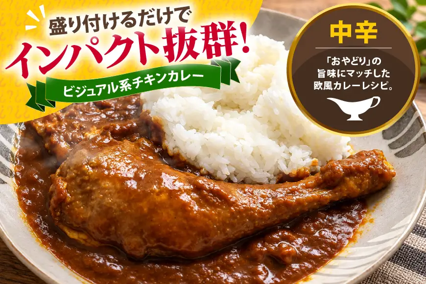 レトルト カレー 国産 骨付きモモ 1本 六ツ美のあの肉カレー MIX 中辛 辛口 各1個 計480g セット