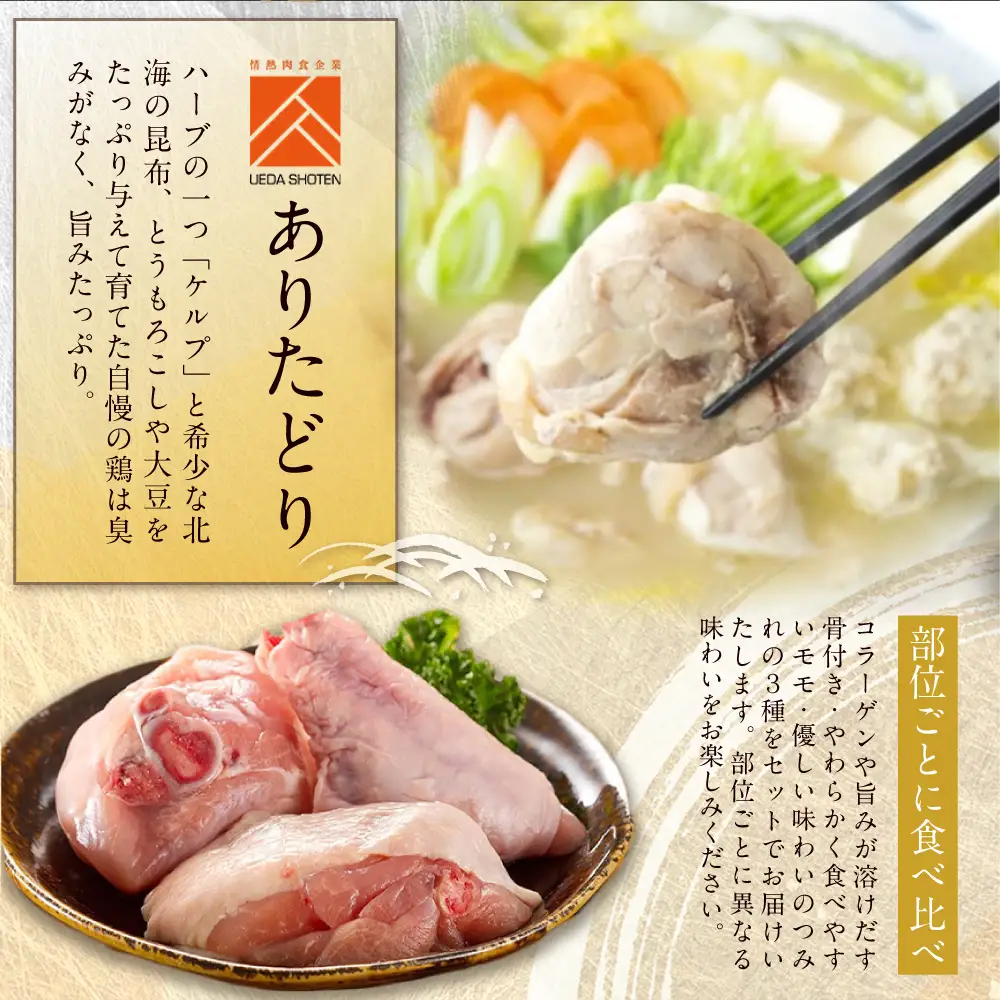 Z08-38 上田商店「水炊き」・はかた地どり追い鶏セット 水炊き