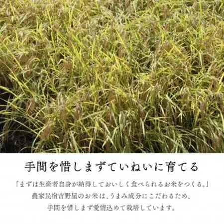 【令和7年産】奥会津のきれいな水で大切に育てた「たから米」【3kg】【1679649】