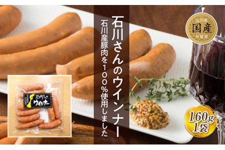 肉 能登豚 ローステキカツ スライス ウインナー 堪能セット