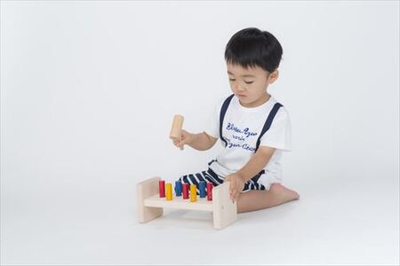 木製おもちゃ ハンマーあそび