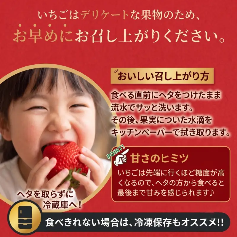 【2027年1月発送】 苺 あまおう 540g (270g×2P) いちご | あまおう OKI