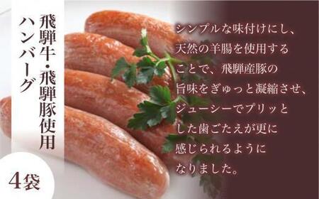 キッチン飛騨 ハンバーグ ＆ ソーセージ セット（2種 計12個）| ハンバーグ CQ023VC13