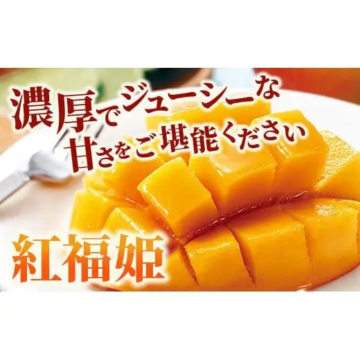 【先行予約】「紅福姫ブランド」石垣島のマンゴー 約3kg  OT-06