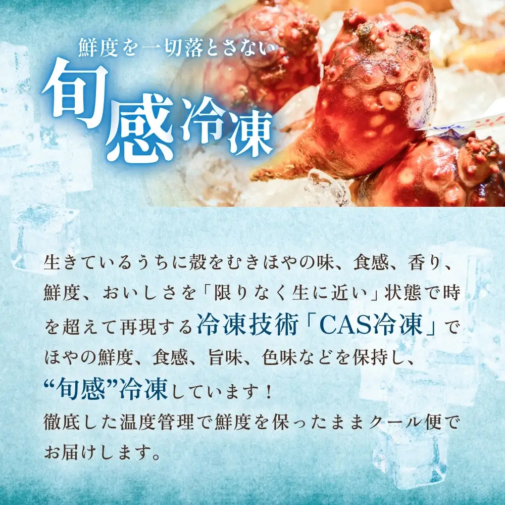 お刺身ほや 10個 セット ほや ホヤ お刺身 刺身 肉厚 珍味 おつまみ おかず 晩酌 海鮮 魚介 海産物 新鮮 冷凍 宮城県産 宮城県 石巻市