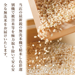 R7年産取手市産コシヒカリ 無洗米10kg（5kg×2袋）|お米 米 こしひかり コシヒカリ 白米 無洗米 茨城県 取手市（BS006）