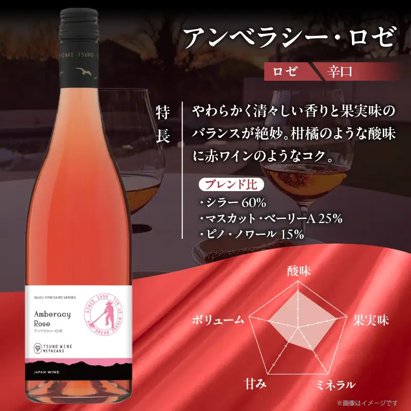 【数量限定】アンベラシー ロゼ(計1本) ワイン 酒 アルコール 国産_T014-0475