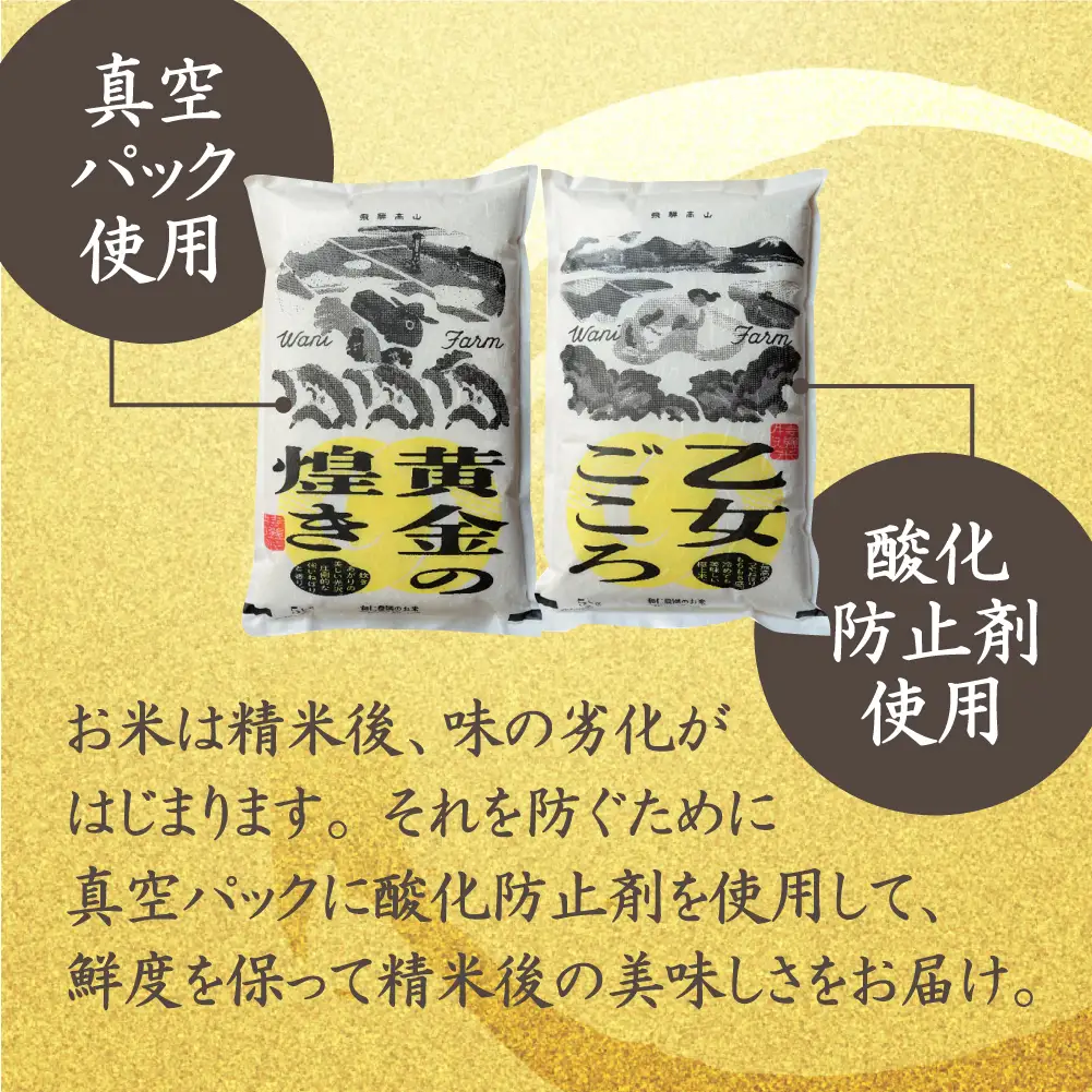 【新米 先行予約】【定期便 6ヶ月】（全6回）令和8年産 飛騨産コシヒカリ「黄金の煌き」5kg×2 | 新米 米 お米 白米 こしひかり 世界最高米 原料米認定農家 金賞受賞農家 飛騨高山 和仁農園 MF105-26