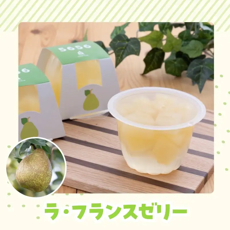 フルーツ 5656(ごろごろ) ゼリー セット 山形 天童 ゼリー
