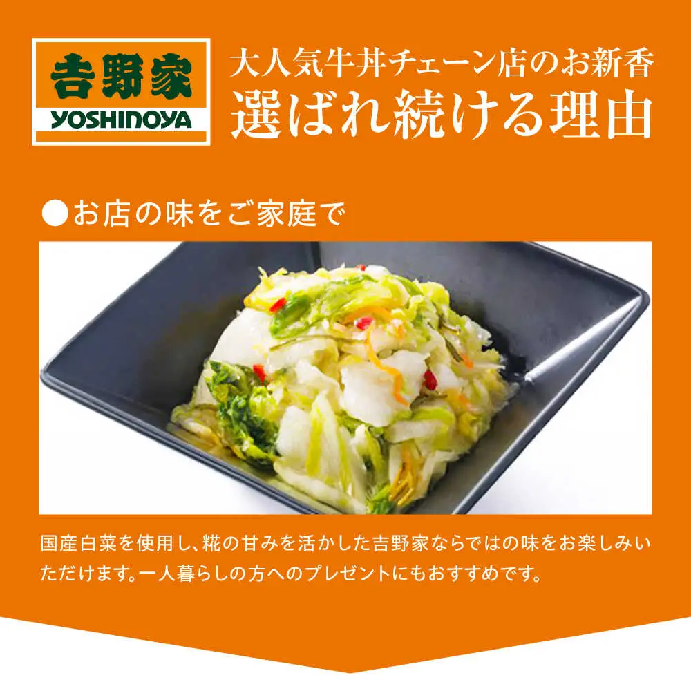 吉野家のお新香 100g×20パック [BAGH002] お新香