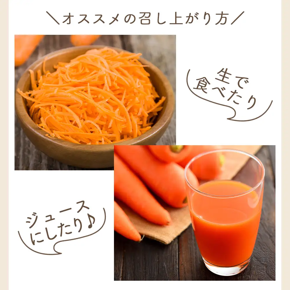【先行予約】にんじん ２ｋｇ 家庭用 にんじん yr-0136