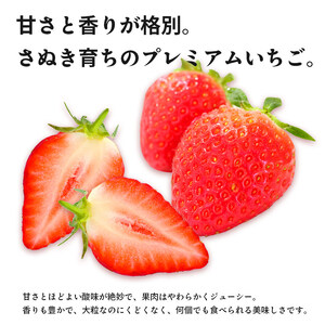 先行予約 いちご さぬきひめ 約500g いちご