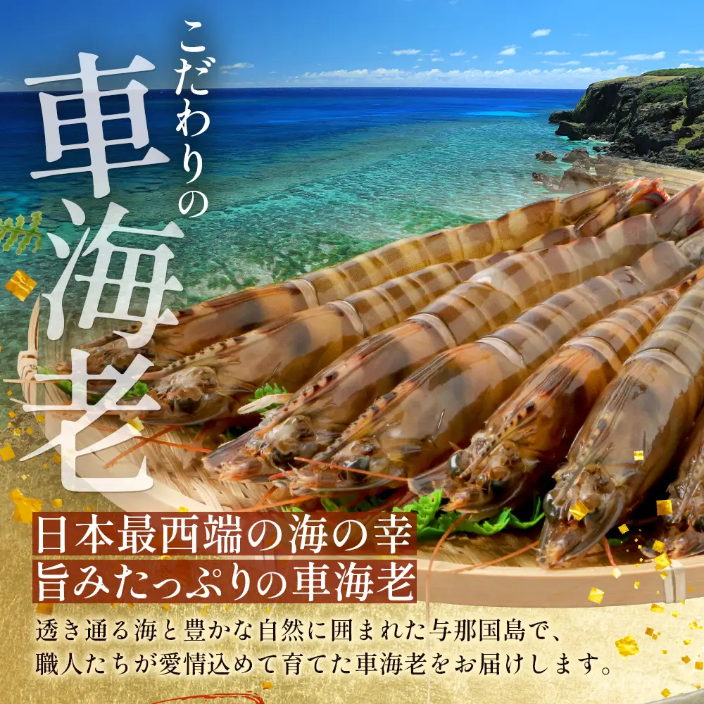 こだわりの車海老　有頭車海老（冷凍）250ｇ×3パック F009｜沖縄県 与那国町 与那国 車海老 車エビ 海老 えび エビ 産地直送