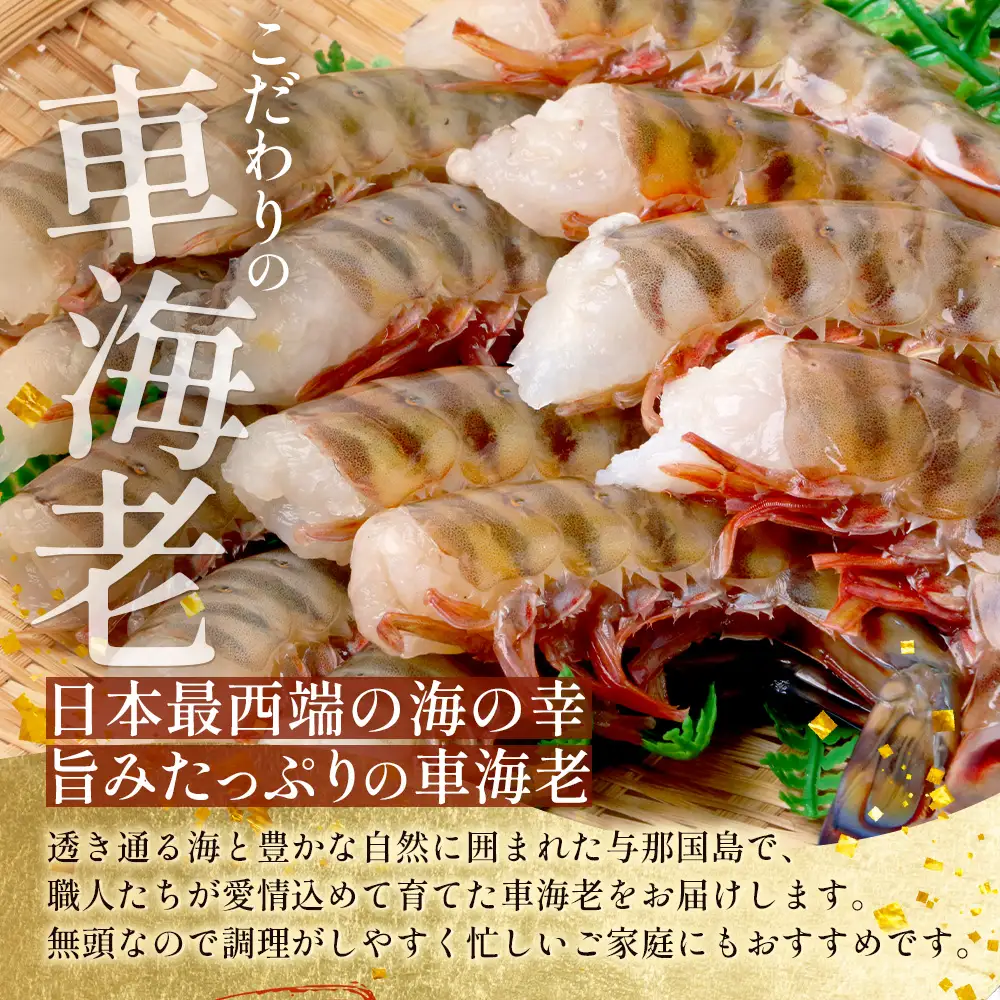 こだわりの車海老　無頭車海老（冷凍）250ｇ×3パック F010｜沖縄県 与那国町 与那国 車海老 車エビ 海老 えび エビ 産地直送