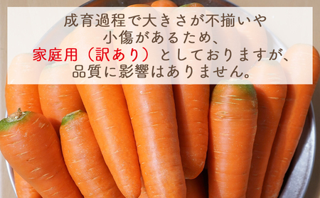 【2026年11月以降発送】にんじん ５ｋｇ 家庭用 yr-0138