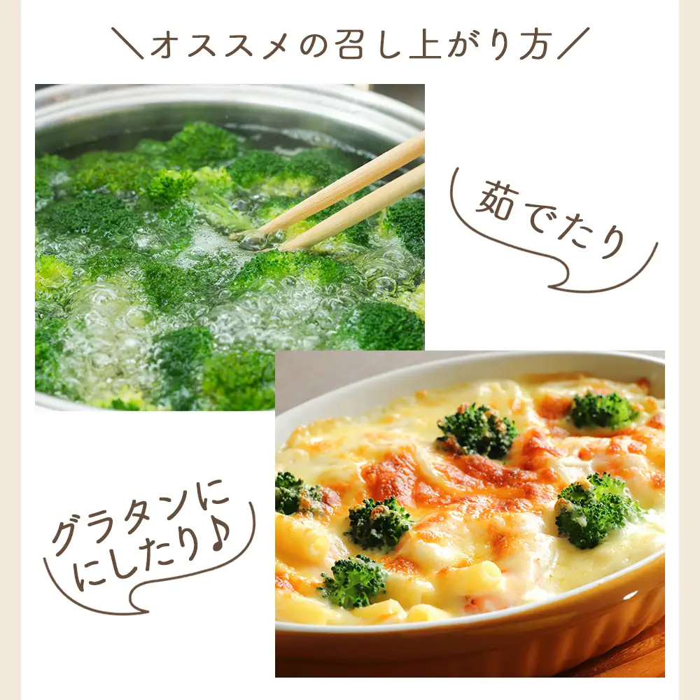 【2026年11月末以降発送】ブロッコリー １ｋｇ 家庭用 yr-0086
