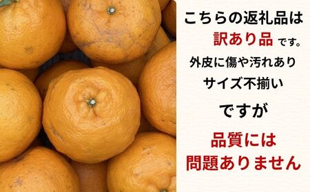 【愛南産ポンカン】ポンカン 約1.5kg
