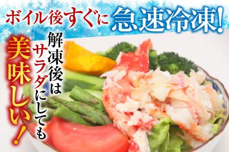 【北海道根室産】ボイルたらば蟹足5～16本(計1～1.2kg) C-36080