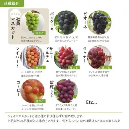 【2026年発送】ぶどう3品種詰合せ(シャインマスカット入)3-5房入/計2kg～(岡山県産)【配送不可地域：離島・北海道・沖縄県】【1678561】
