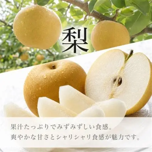 【発送月固定定期便】紀州和歌山産旬のフルーツセット(8月:桃約1.8kg・9月:梨約2kg)全2回【配送不可地域：離島・北海道・沖縄県】【4074867】