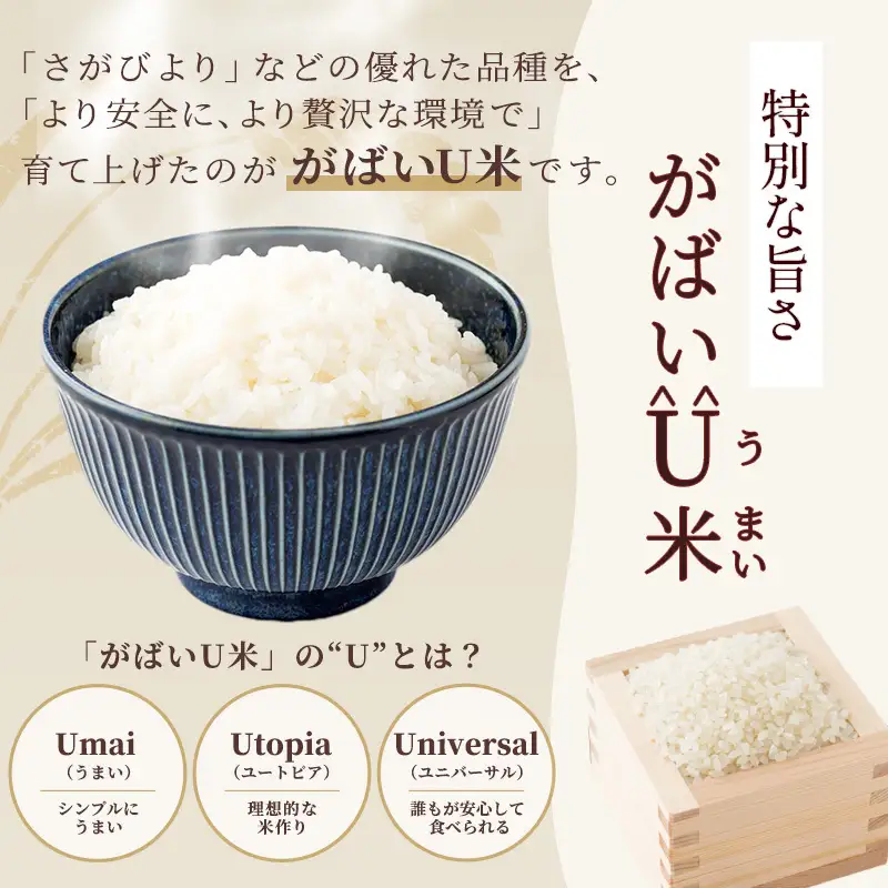 ≪ 定期便 6ヶ月 計 60kg ≫ 訳あり無洗米 10kg ( 5kg × 2袋 ) 令和7年産 がばいU米(うまい)  佐賀県産 米 お米 こめ コメ 白米 五つ星 お米マイスター厳選 鳥栖市ふるさと納税限定 弁当