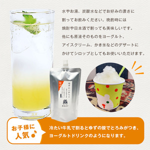 楽しみ方いろいろ！南信州天龍村 ゆずとハチミツ [希釈用ジュース／ご家庭用パウチパック] 