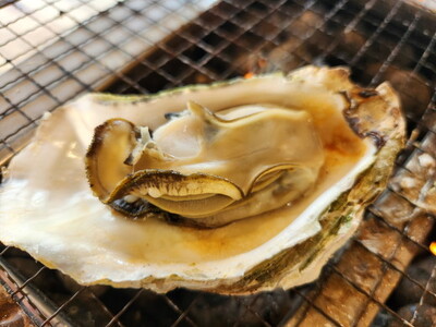 飛田水産 石川県七尾産 能登かき 殻付き一斗缶 ※要加熱 ※2027年1月～発送 ｜ 牡蠣 殻付き