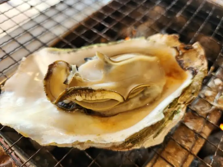 飛田水産 石川県七尾産 能登かき 殻付き3分缶 ※要加熱 ※2027年1月～発送 ｜ 牡蠣 殻付き