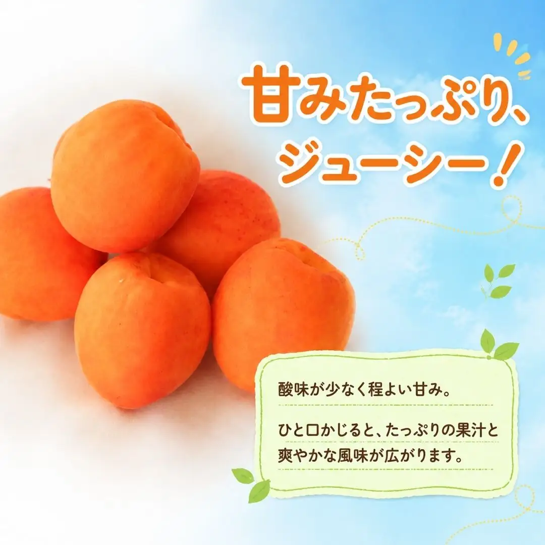 【2027年先行予約】あんず 信州サワー(長野県オリジナル品種) 約2kg |あんず シロップ漬け 千曲市産 長野県 信州