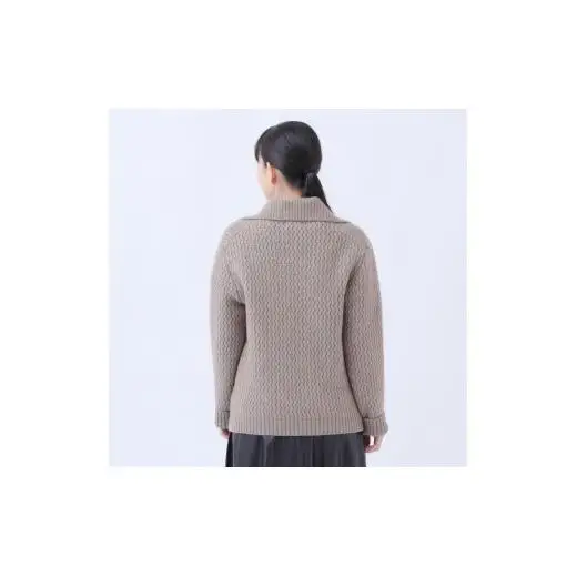 ルーエンローズ カシミヤ アラン柄ポロ衿プルオーバー（ブラウン） RU2311-20