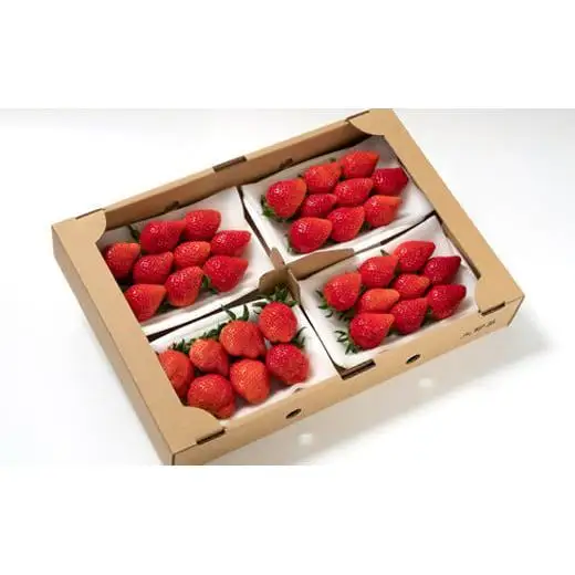 【先行予約】苺大野屋「やよいひめ＆さがほのか」厳選いちご 食べ比べセット 250g×４パック 約１kg 宮崎県 西都市産＜28-6a＞果物 くだもの フルーツ 宮崎県 西都市