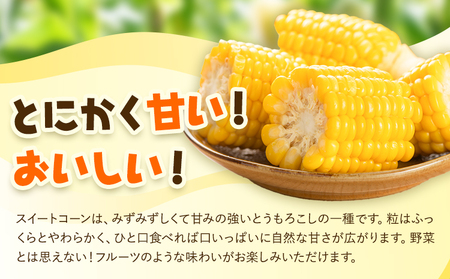 とうもろこし スイートコーン 10本 とうもろこし