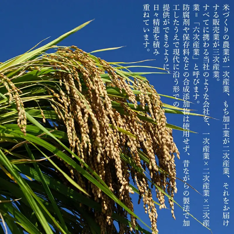 【3ヶ月定期便】令和8年産 特栽つきあかり 玄米5kg 精米したて白米発送 のむら農産