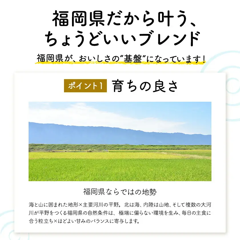 ふくおかみのり米 10kg 白米 《1-14日以内に出荷予定(土日祝除く)》 お米 ごはん ご飯 rice kome