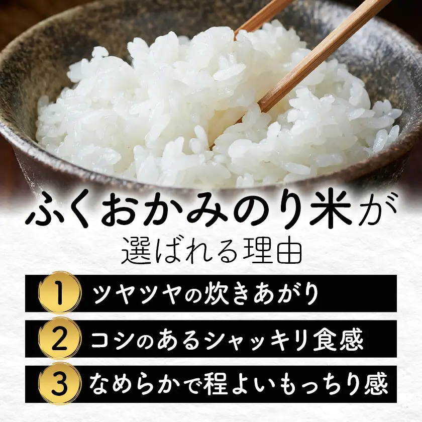 【12ヶ月定期便】 ふくおかみのり米 20kg 白米 《お申込み翌月から出荷》 お米 ごはん ご飯 rice kome