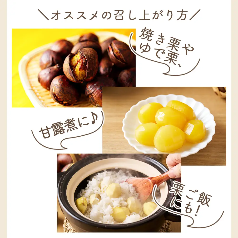 栗 2袋（２kg） 栗 yr-0103