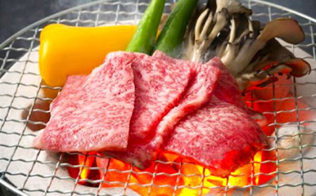 大分県竹田産 おおいた和牛 ロース 焼肉用 【500g】